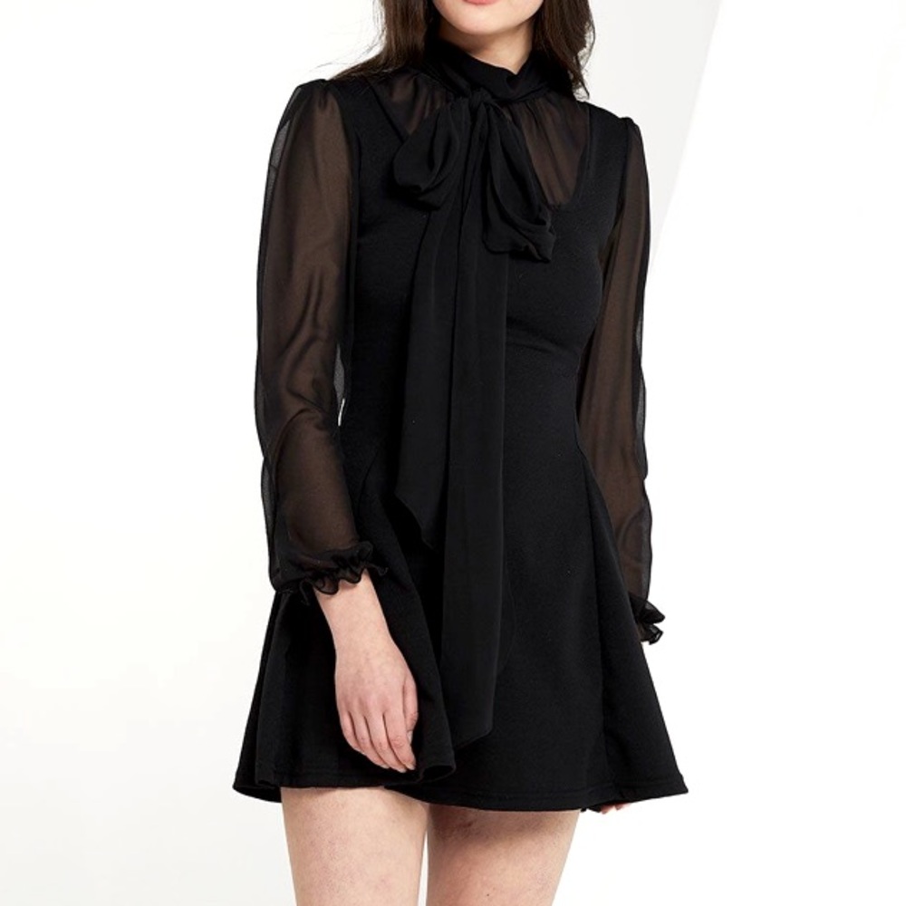 Storets Jane Sheer Tie Dress